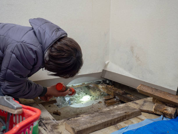 Best Residential Mold Inspection & Testing  in Sleepy Hollow, IL