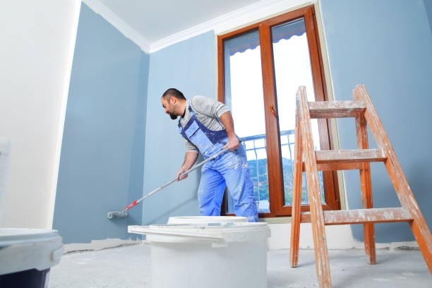 Best Mold Removal for HVAC Installations  in Sleepy Hollow, IL