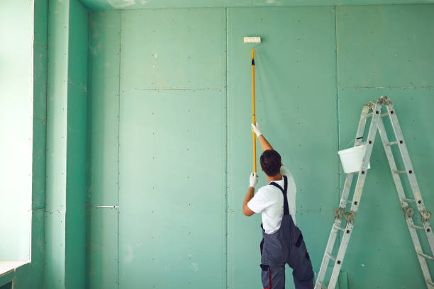 Best Industrial Mold Remediation  in Sleepy Hollow, IL