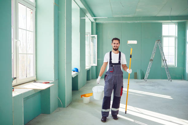 Best Black Mold Removal  in Sleepy Hollow, IL