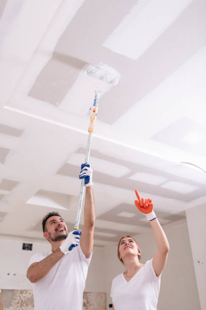 Best Asbestos and Lead Testing During Mold Inspection  in Sleepy Hollow, IL