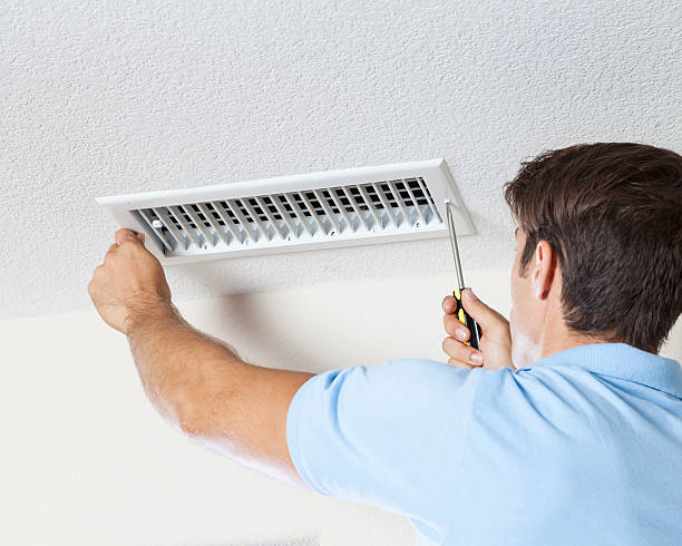 Reliable Sleepy Hollow, IL Mold Removal Solutions