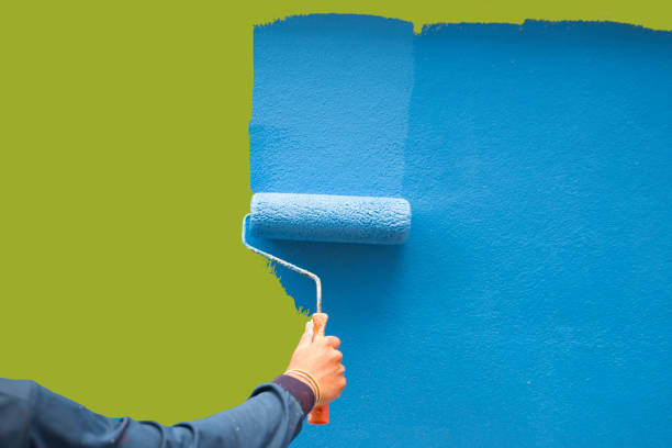 Best Mold Documentation for Insurance Claims  in Sleepy Hollow, IL