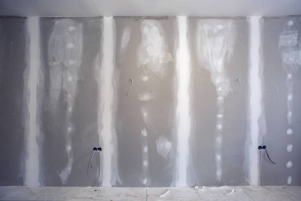 Forensic Mold Investigation in Sleepy Hollow, IL